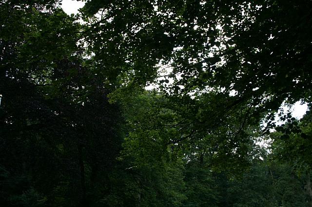 IMG 0323 800x533