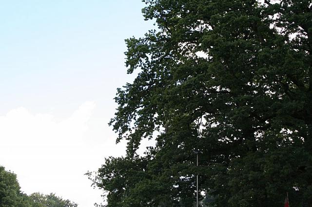 IMG 0338 800x533