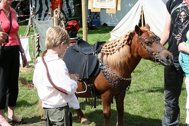 IMG 0361 800x533