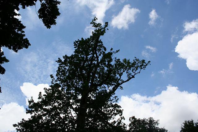 IMG 0376 800x533