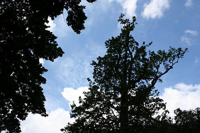 IMG 0377 800x533