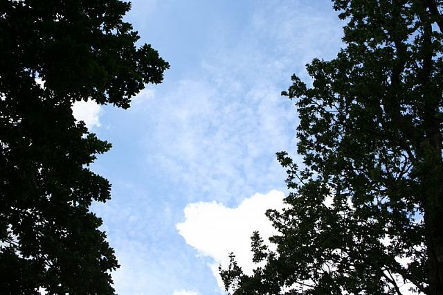 IMG 0378 800x533