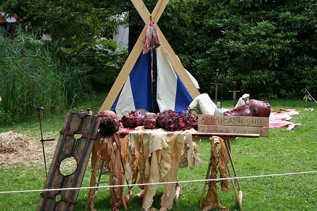 IMG 0397 800x533