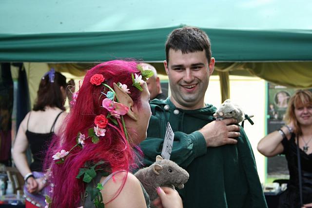 IMG 0445 800x533