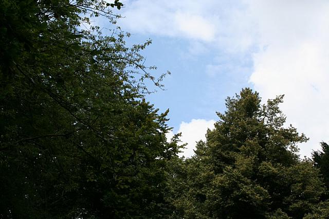 IMG 0470 800x533