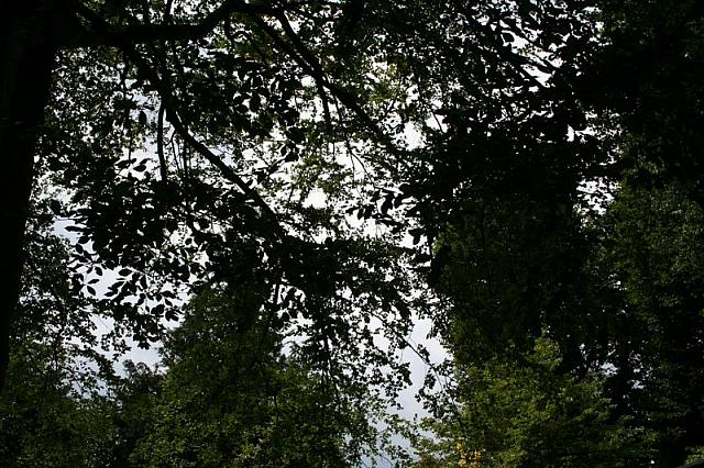 IMG 0475 800x533