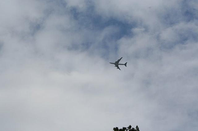 IMG 0517 800x533