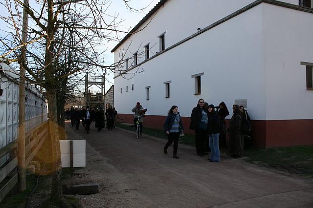 IMG 0002 800x533
