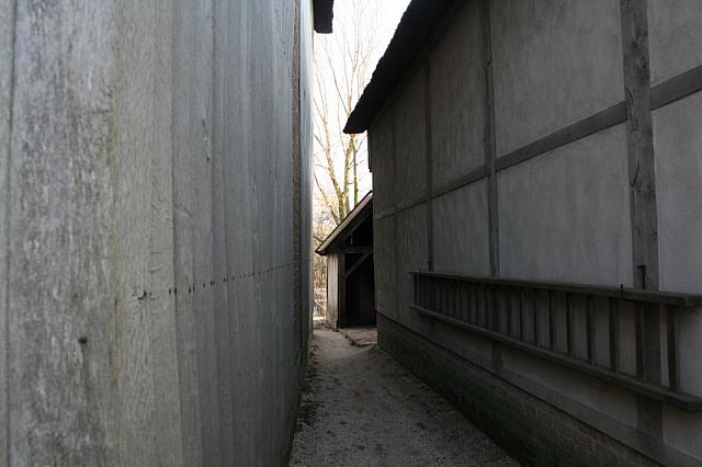 IMG 0028 800x533