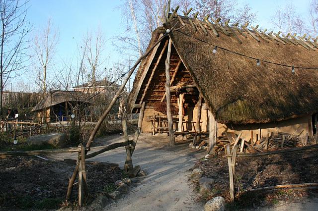 IMG 0037 800x533