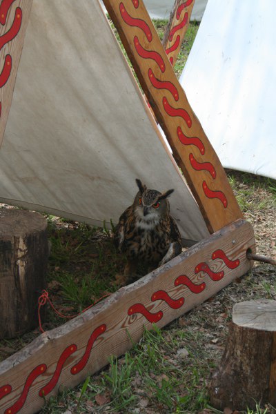 elf 2010 028 400x600