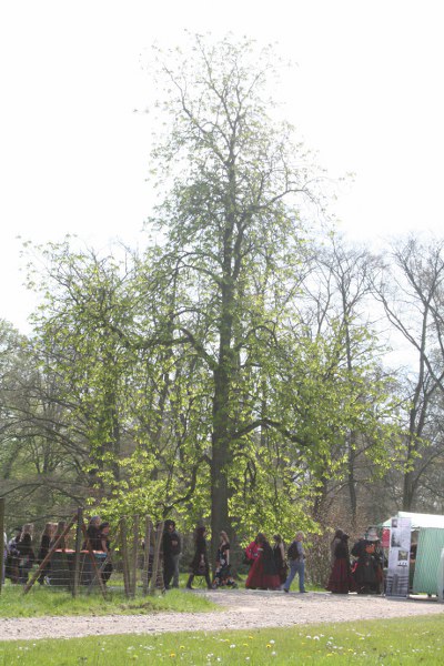 elf 2010 051 400x600