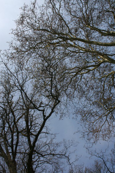 elf 2010 056 400x600