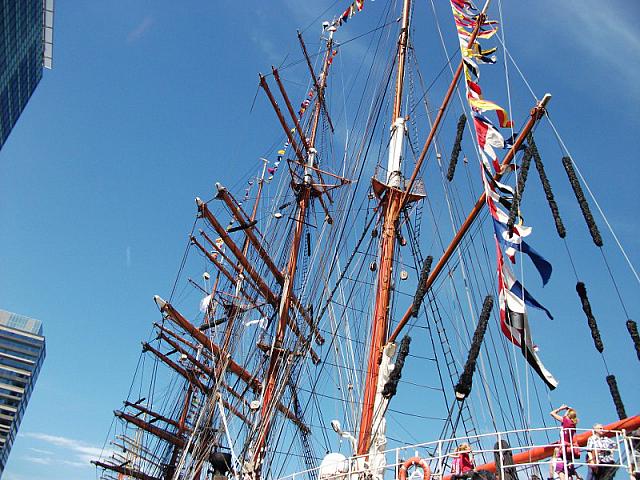 DSCF0286 800x600