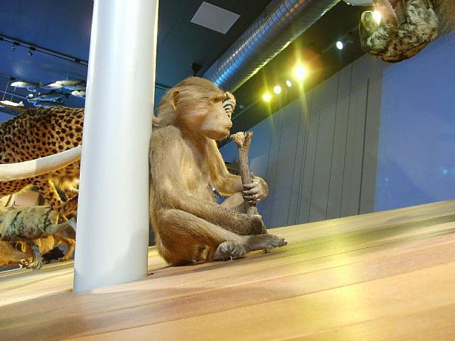 S6000083 800x600