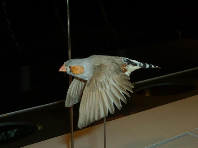 S6000101 800x600
