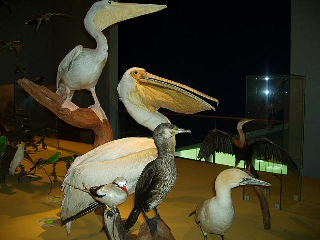 S6000118 800x600