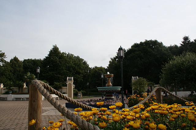 IMG 0052 800x533