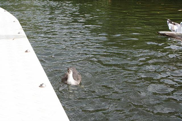 IMG 0068 800x533