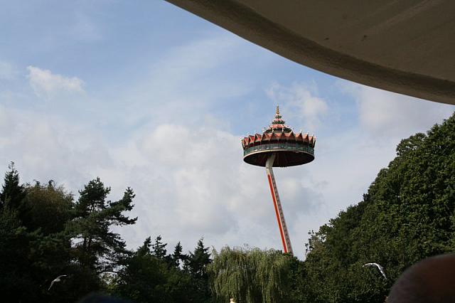 IMG 0074 800x533