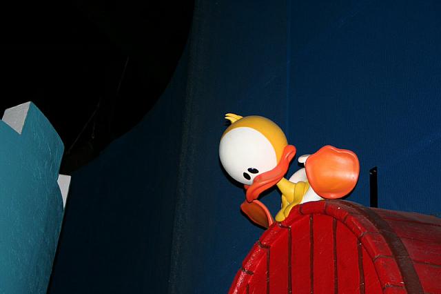 IMG 0126 800x533
