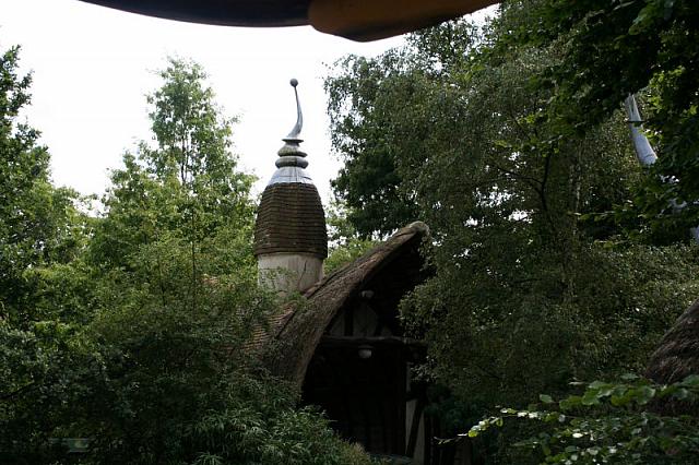 IMG 0183 800x533