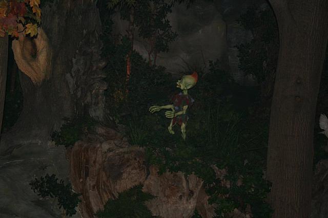 IMG 0201 800x533