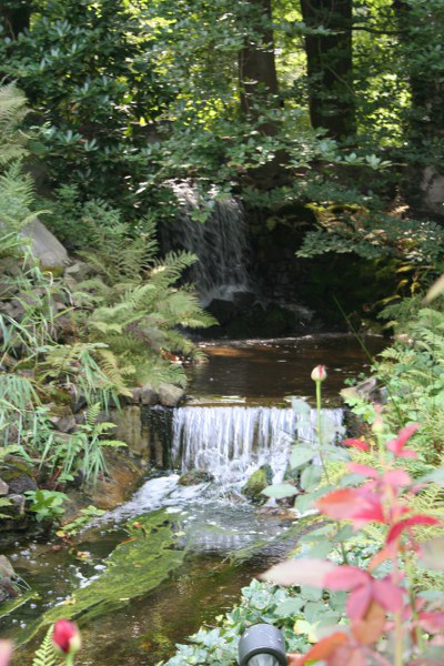 IMG 0211 400x600