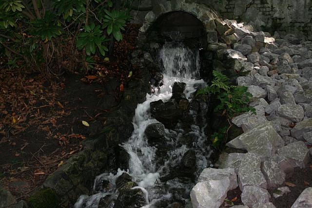 IMG 0213 800x533