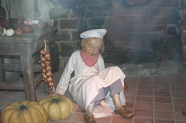 IMG 0221 800x533