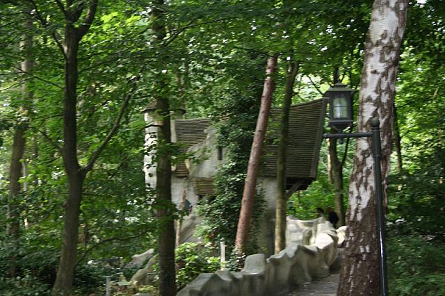IMG 0232 800x533