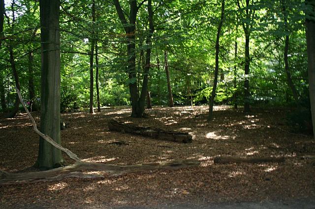 IMG 0260 800x533