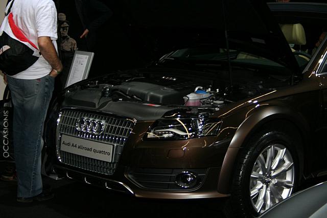 20090405 281 800x533