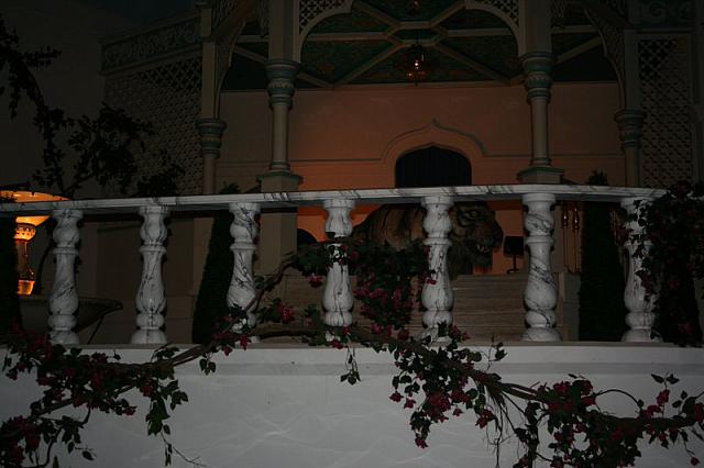 20090908 171 800x533