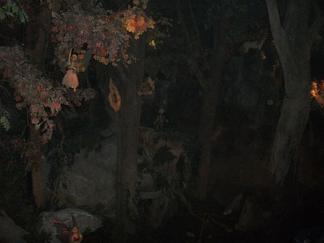 DSCF0494 800x600