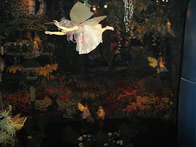 DSCF0497 800x600
