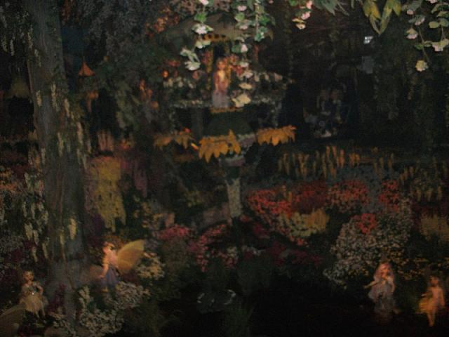 DSCF0498 800x600