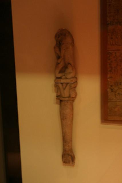 IMG 0732 800x533