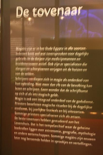 IMG 0748 800x533