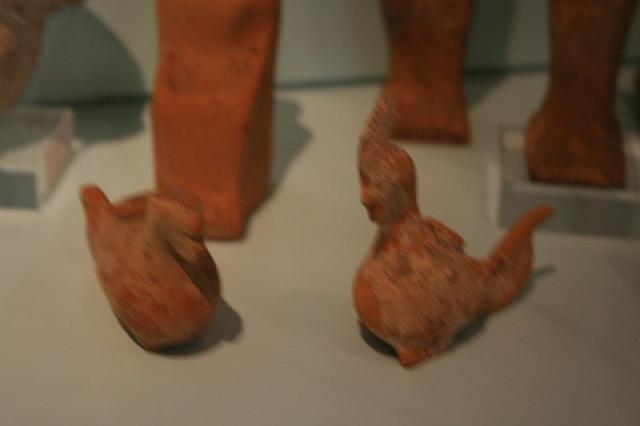 IMG 0821 800x533