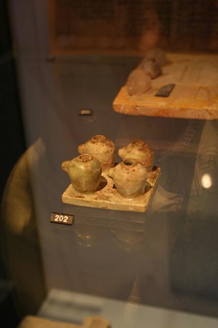 IMG 0895 800x533