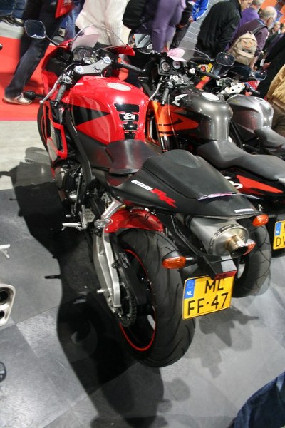 IMG 1147 533x800 400x600