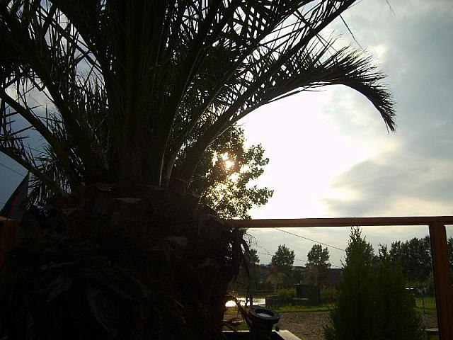 S6000069 800x600