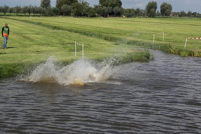 IMG 0307 800x533