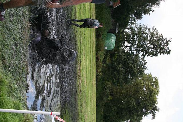 IMG 0590 800x533