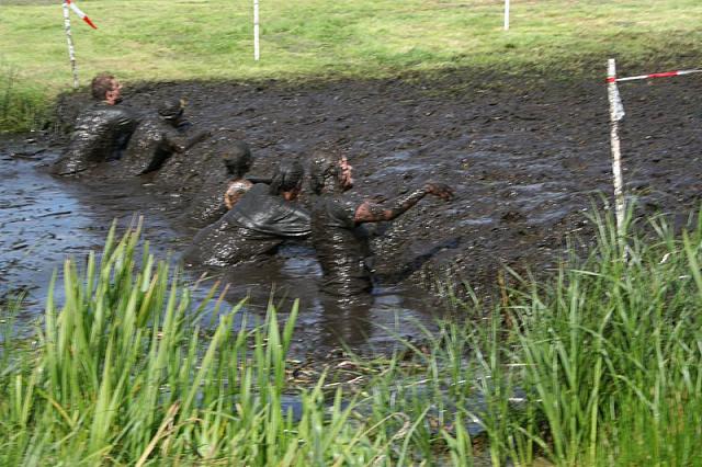 IMG 0788 800x533