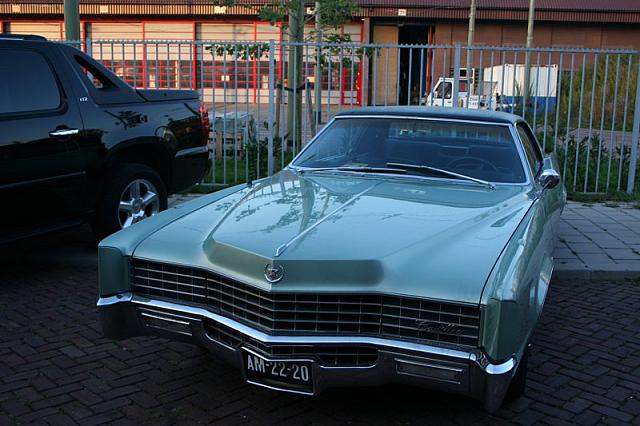 IMG 0019 800x533