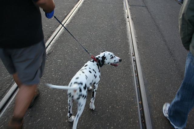 IMG 0103 800x533