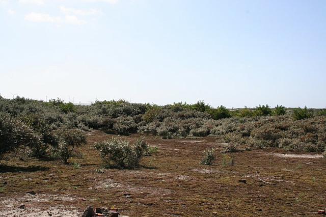IMG 0170 800x533