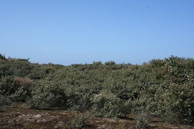 IMG 0171 800x533